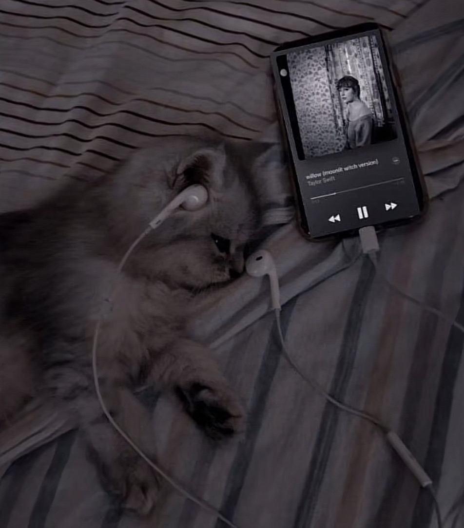 Surf (Sentinel) player profile image